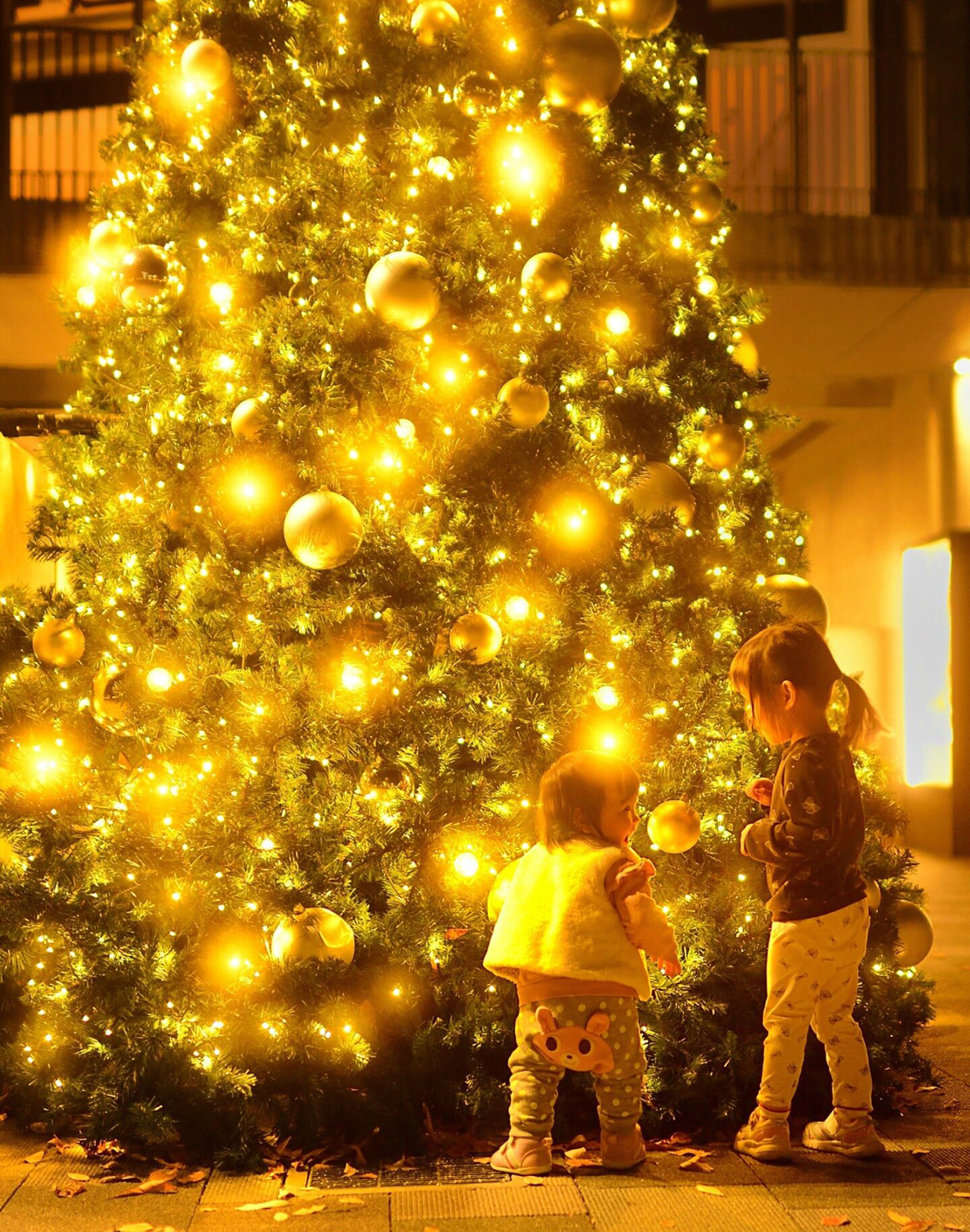 2025年度最優秀賞